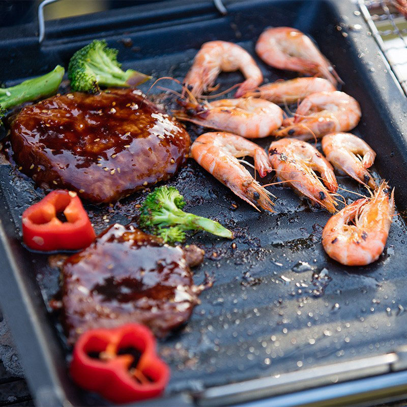 Outdoors Thick Square Grill Pa - Camping Cooking Tray review and price