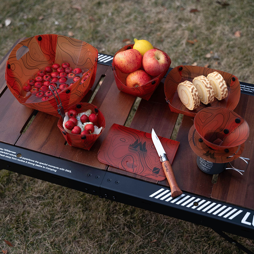 Outdoor Lightweight Folding Ta - Camping Cooking Plate review and price
