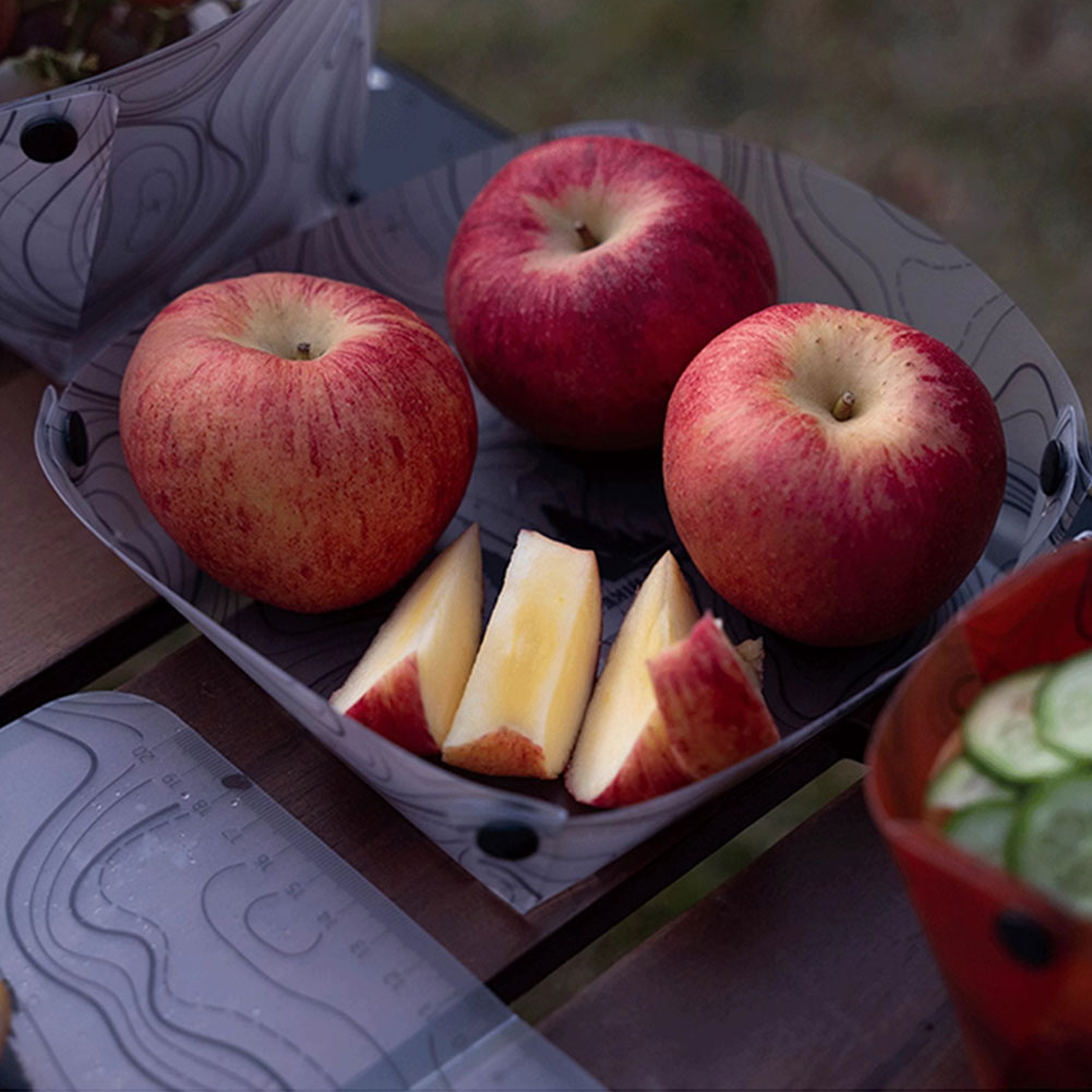 Outdoor Lightweight Folding Ta - Camping Cooking Plate review and price